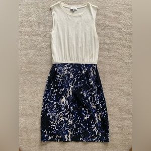 Aritzia dress